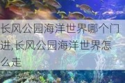 长风公园海洋世界哪个门进,长风公园海洋世界怎么走