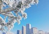 吉林江滨公园能滑雪吗_吉林市江滨公园门票