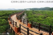 红树林公园有什么好玩的-红树林公园旅游