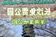 洋湖湿地公园在哪里_洋湖湿地公园攻略