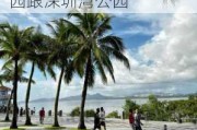 红树林海滨生态公园和深圳湾公园-红树林海滨公园跟深圳湾公园