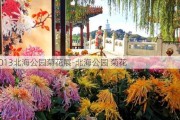 2013北海公园菊花展-北海公园 菊花