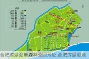 合肥滨湖湿地森林公园地址,合肥滨湖湿地公园区位