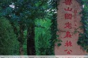 鲁山森林公园自驾游_鲁山森林公园可以开车上山吗?