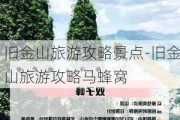 旧金山旅游攻略景点-旧金山旅游攻略马蜂窝