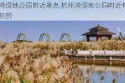 杭州湾湿地公园附近景点,杭州湾湿地公园附近有什么好玩的