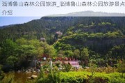 淄博鲁山森林公园旅游_淄博鲁山森林公园旅游景点介绍