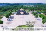 夏津原始森林公园在哪-夏津原始森林公园