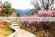 翠屏山公园公交,翠屏山公园可以开车上去吗