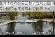 永定河休闲森林公园和永定河公园_永定河公园和永定河森林公园哪个好