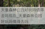 天童森林公园好玩吗值得去吗现在_天童森林公园好玩吗值得去吗