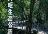 走近江洋畈生态公园-江洋畈湿地生态公园