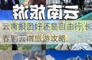 云南报团好还是自由行,长春到云南旅游攻略