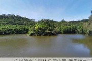 广州滴水岩森林公园山顶-番禺滴水岩