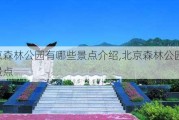 北京森林公园有哪些景点介绍,北京森林公园有哪些景点