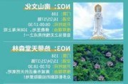 三亚旅游攻略完全版-三亚旅游全攻略,必看