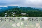 玉峰山森林公园好玩吗-玉峰山森林公园好玩吗值得去吗