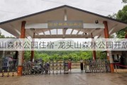 龙头山森林公园住宿-龙头山森林公园开放时间