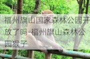 福州旗山国家森林公园开放了吗-福州旗山森林公园猴子