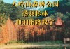 大岭山森林公园门票多少-大岭山森林公园大板驿站