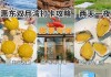 惠州双月湾旅游攻略一天游,惠州双月湾旅游攻略两天一夜2023