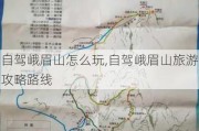 自驾峨眉山怎么玩,自驾峨眉山旅游攻略路线