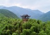 临安天目山旅游攻略一日游多少钱,临安天目山景点