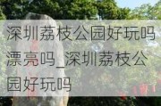 深圳荔枝公园好玩吗漂亮吗_深圳荔枝公园好玩吗