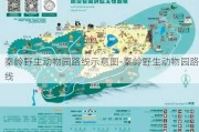 秦岭野生动物园路线示意图-秦岭野生动物园路线