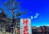 神农架旅游景点天气怎么样,神农架旅游天气预报