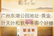 广州东湖公园地址-黄金叶天叶和软中华哪个好抽