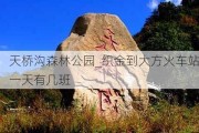 天桥沟森林公园_织金到大方火车站一天有几班