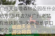 广州天鹿湖森林公园在什么地方?怎样去?从广州南站有地铁到吗-天鹿湖地铁口那个站