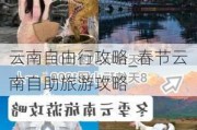 云南自由行攻略_春节云南自助旅游攻略