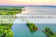 合肥滨湖湿地公园好玩,合肥滨湖湿地公园怎么样