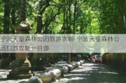 宁波天童森林公园旅游攻略-宁波天童森林公园旅游攻略一日游