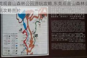 东莞观音山森林公园游玩攻略,东莞观音山森林公园游玩攻略图片