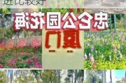 忠仑公园花海从哪个门进,忠仑公园花海从哪个门进比较好