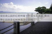 深圳湾公园的红树林属于什么生态系统_深圳湾公园就是红树林海滨公园吗