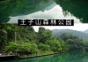 花都王子山森林公园全封闭-花都王子山森林公园全封闭了吗今天