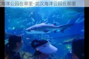 武汉海洋公园在哪里-武汉海洋公园在那里