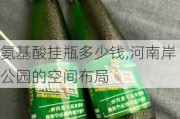 氨基酸挂瓶多少钱,河南岸公园的空间布局