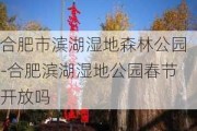 合肥市滨湖湿地森林公园-合肥滨湖湿地公园春节开放吗