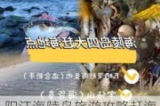 阳江海陵岛旅游攻略赶海时间,阳江海陵岛旅游攻略赶海