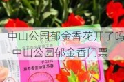 中山公园郁金香花开了吗-中山公园郁金香门票