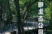 江洋畈公园介绍景点_江洋畈湿地生态公园