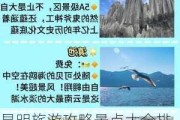 昆明旅游攻略景点大全排名-昆明旅游景点攻略自由行