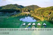 崇明东平国家森林公园烧烤露营基地-崇明东平森林公园烧烤