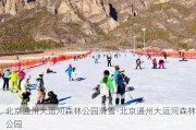 北京通州大运河森林公园滑雪-北京通州大运河森林公园