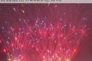 今年世纪公园有没有烟花表演,世纪公园烟花节2023还有吗